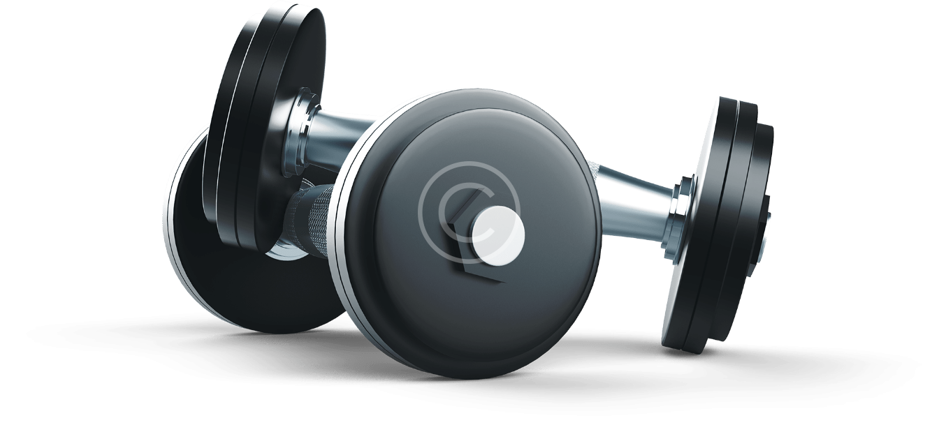 metallic-dumbbell-1-copyright - BODYKING AKADEMIE