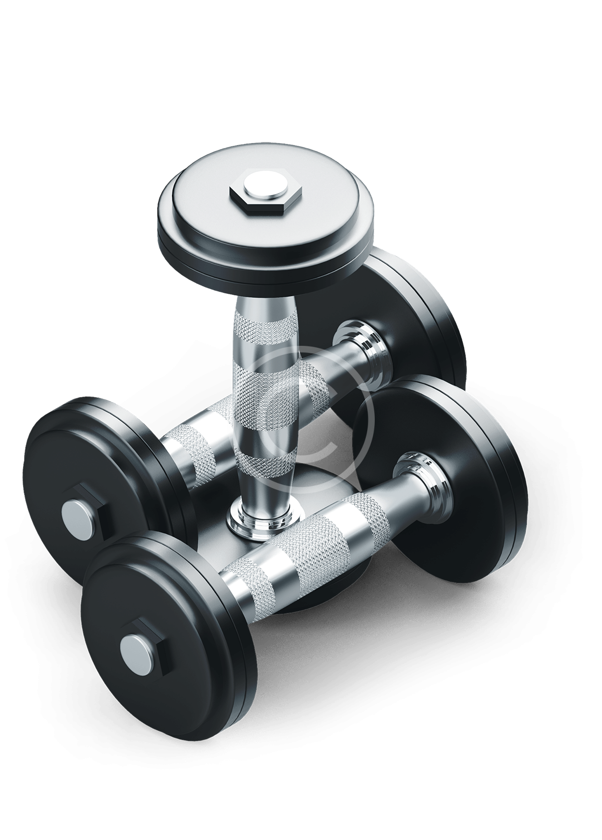 metallic-dumbbell-4-copyright - BODYKING AKADEMIE